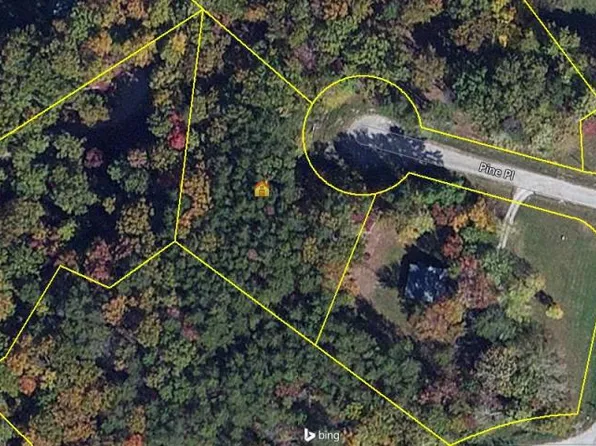 60 Pine Pl, Monterey, TN 38574