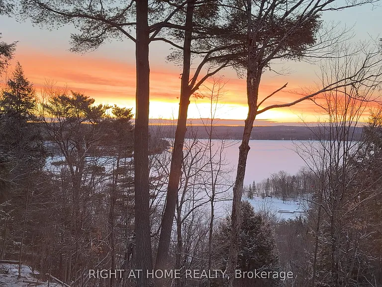 13 Tree Tops Ln #202 — Photo 5