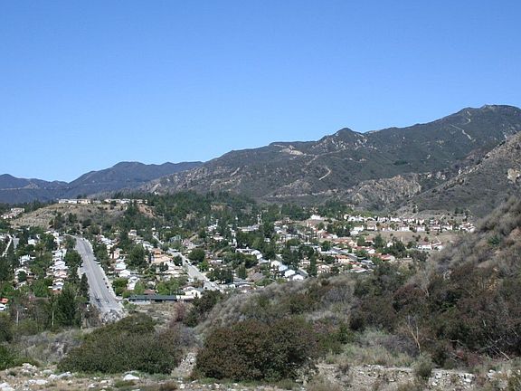 View from the backyard