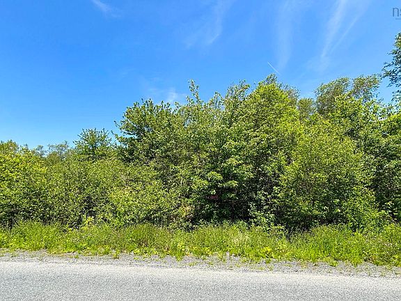 5th image of Highway 215 Lot C