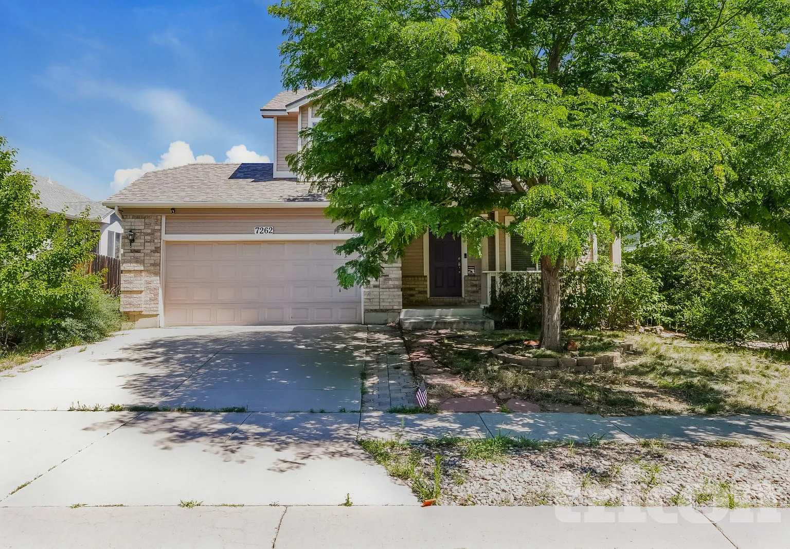 7262 Campstool Dr Colorado Springs CO — Photo 1