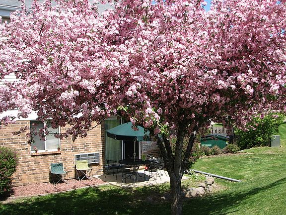 4th image of 336 Olson Ct APT 204