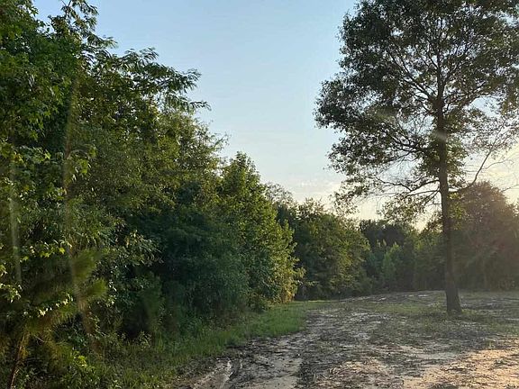 5th image of Fm 3129