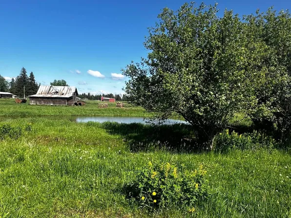 Three Mile Rd, Weippe, ID 83553