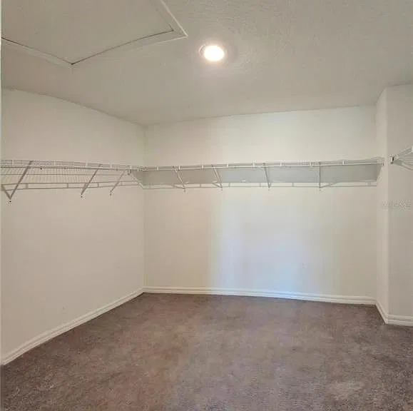 165 Rain Berry Ave — Photo 20