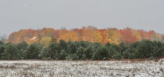 4th image of 2626 County Road 612