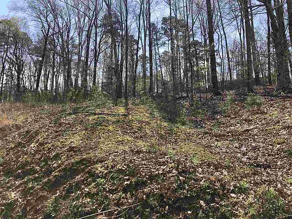 2nd image of 0 Huckleberry Ln #110