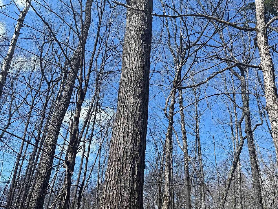 1st image of Tbd Victoria Dam Rd