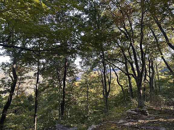2nd image of 0 Azalea Ln Lot 8