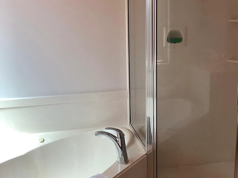 Separate Tub and Shower