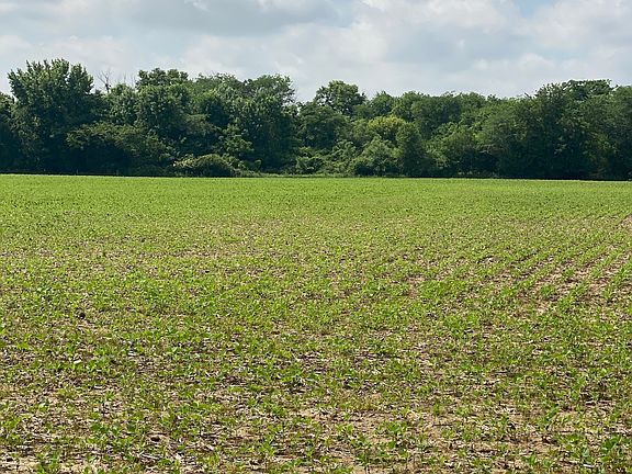 3rd image of State Road 236