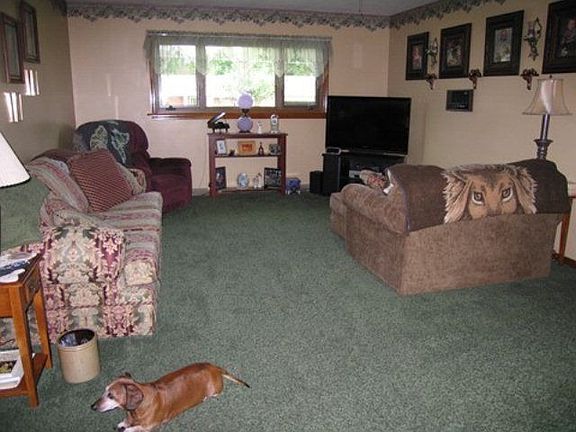 5th image of 785 Butterfly Dr