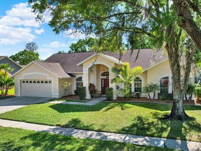 17108 Longacres Ln, Odessa, FL, 33556