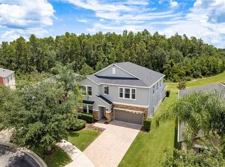19309 Prairie Tree Pl, Tampa, FL 33647