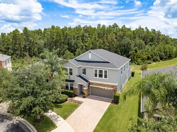 19309 Prairie Tree Pl, Tampa, FL 33647