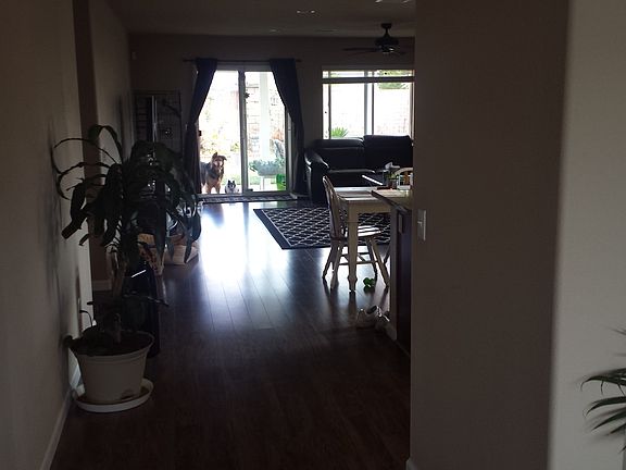 4th image of 250 Alverstone St