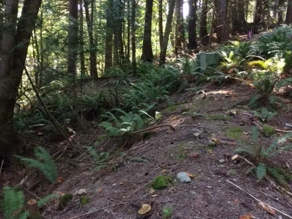 5 Thunder Peak Way, Bellingham, WA 98229