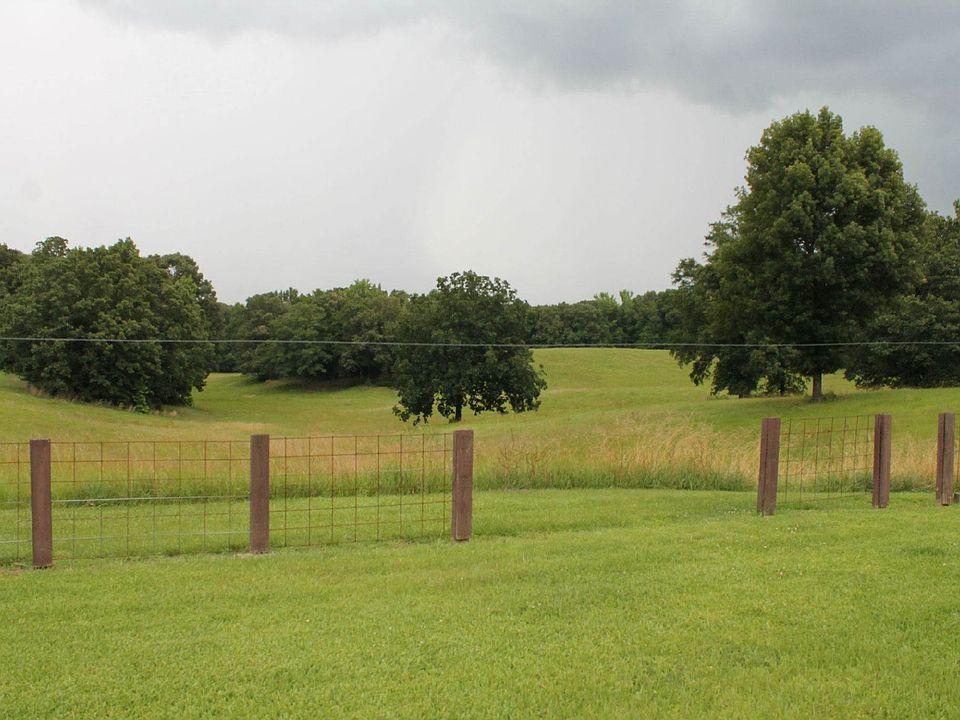 Back Yard (2)