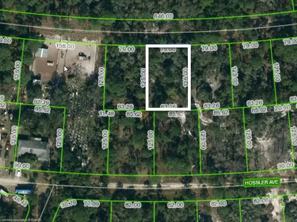 361 Stardust Ave, Lake Placid, FL 33852