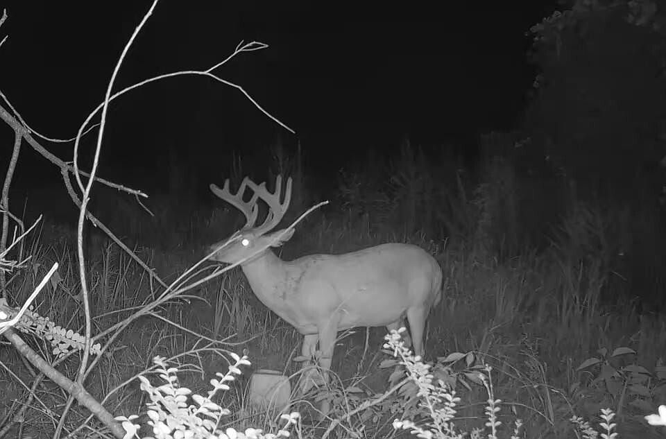 1st image of 0 Tree Farm Rd