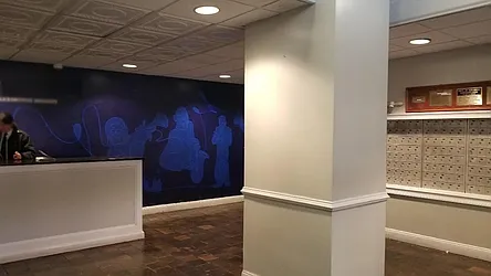 Rented by Area New York