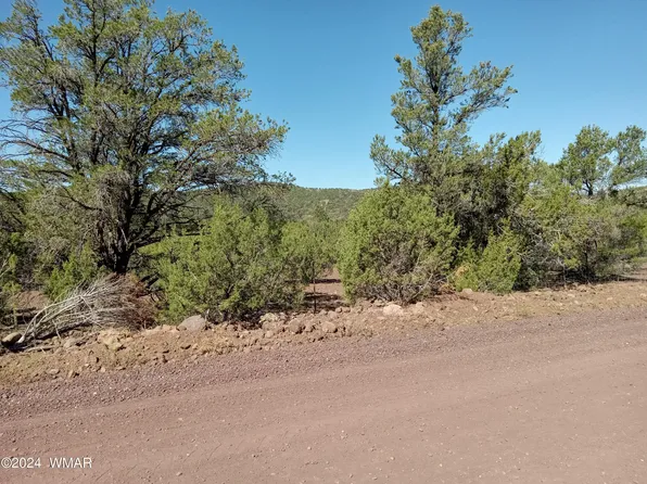 95 County Road 3199, Vernon, AZ 85940
