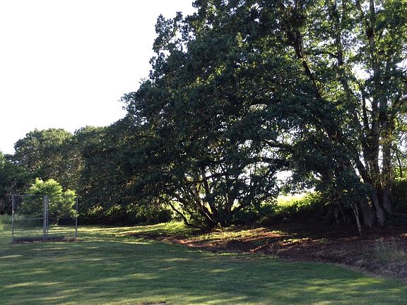 Lower lawn south view