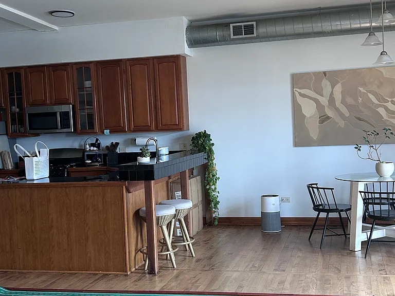 223 E Chicago St #4 — Photo 14