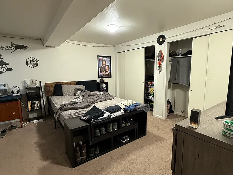 3806 Dahlia Ct — Photo 5