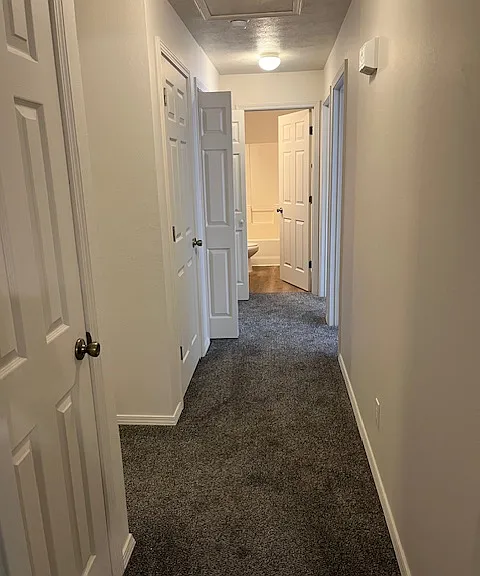 161 Bald Eagle Blvd — Photo 22