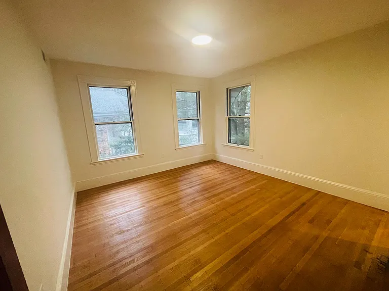 141 Cypress St — Photo 21