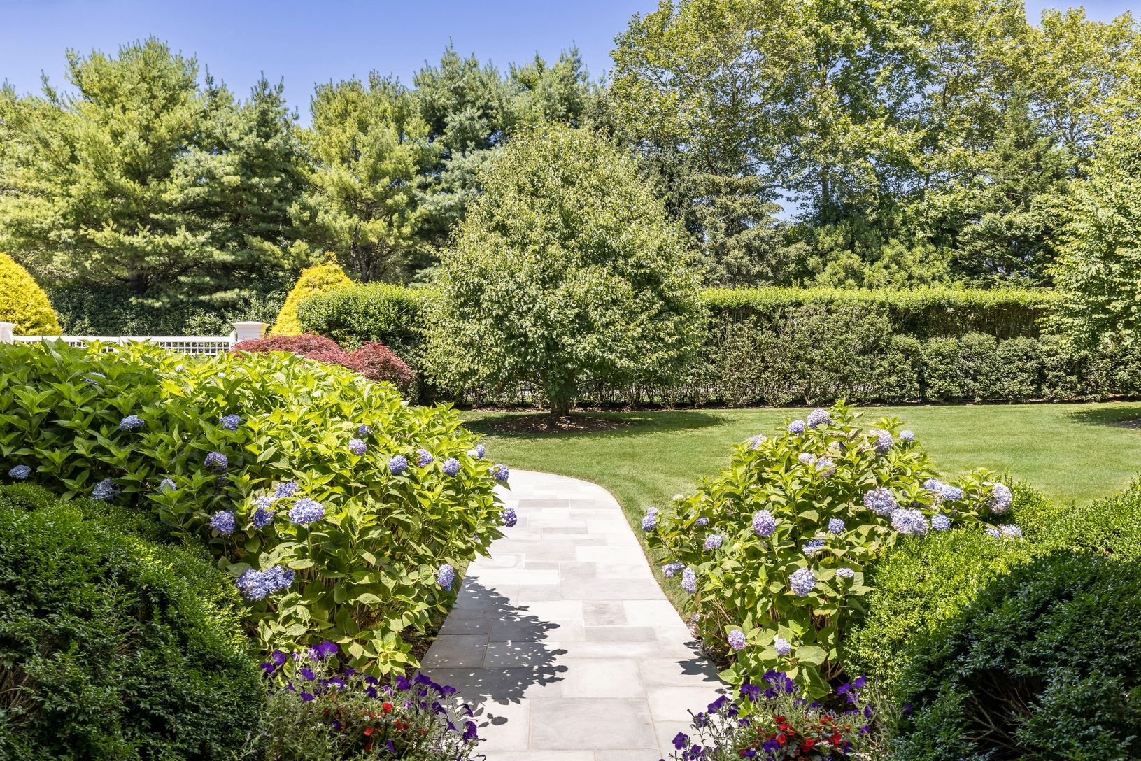 Gorgeous hydrangeas flank the walkway