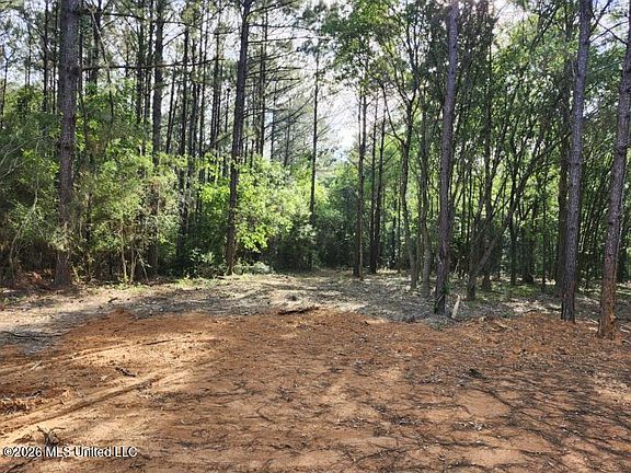 4th image of PARCEL 2 Shiyou Rd Lot 2