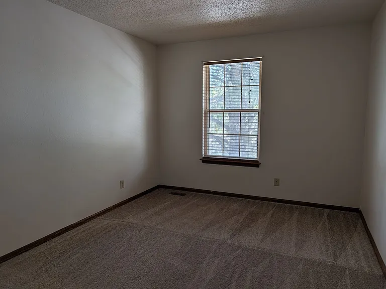 3028 Deliverance Dr — Photo 10