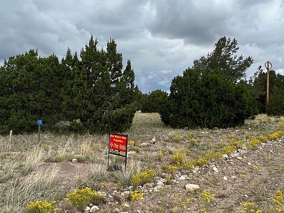 4th image of 221 El Caso Rd