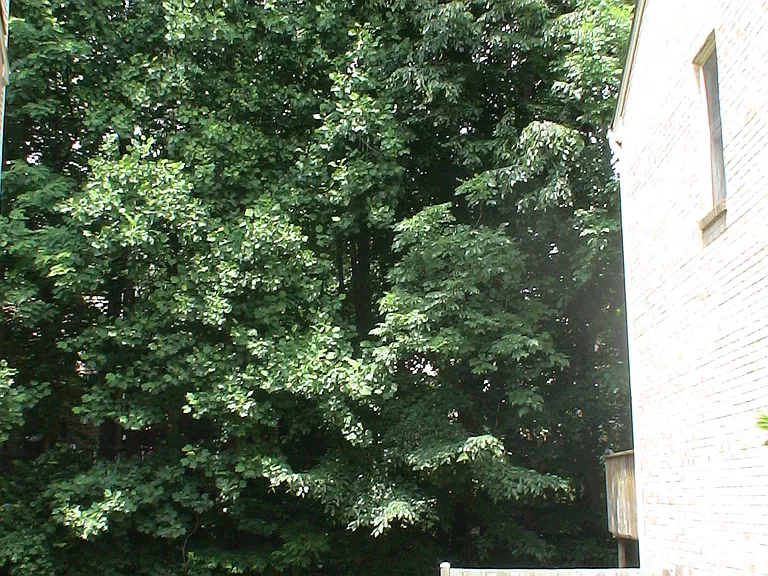 10651 Pine Haven Ter — Photo 2