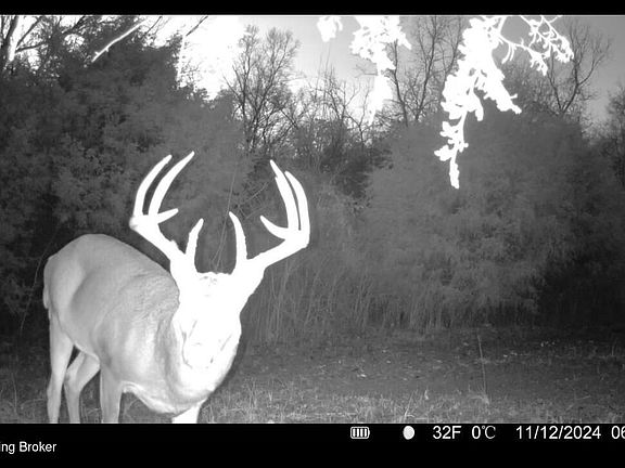 3rd image of 167 Price Rd