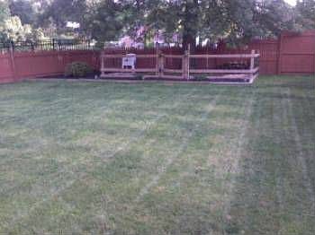 4th image of 1328 Kerwood Ln