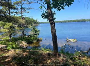 1 Bala Park Is, Muskoka Lakes, ON P0C1A0