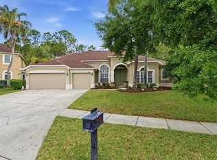 18931 Chaville Rd, Lutz, FL 33558