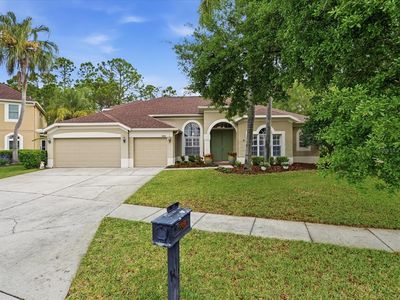 18931 Chaville Rd, Lutz, FL, 33558