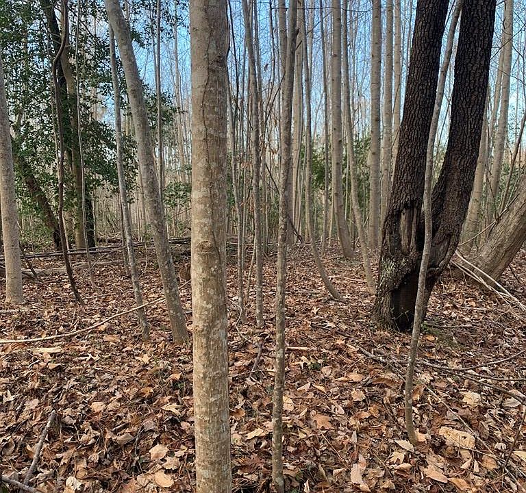 2nd image of 14548 Northumberland Hwy