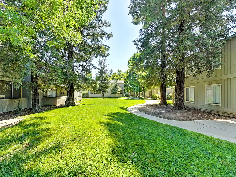 The Redwoods Apartments — Photo 14
