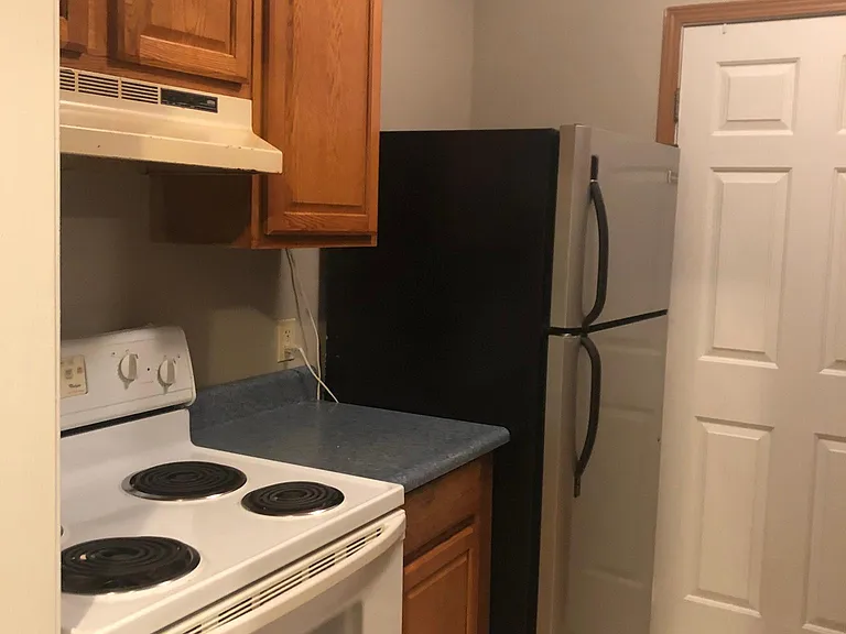 204 E 4th St #210 — Photo 3