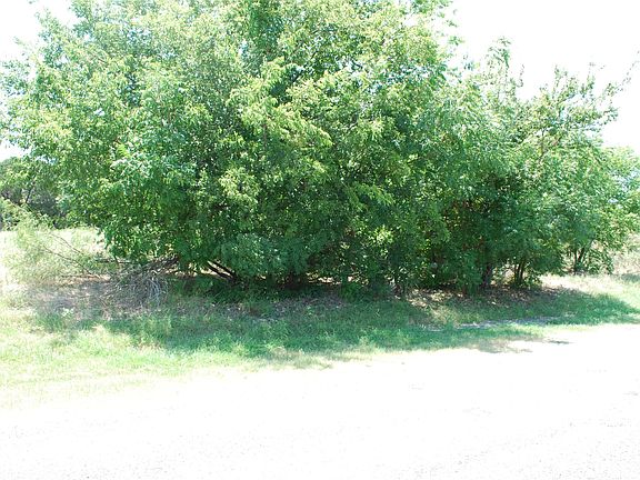 5th image of 1413 Lakeside Trl
