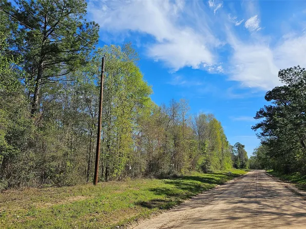 0 Magnolia Wood Dr, Livingston, TX 77351