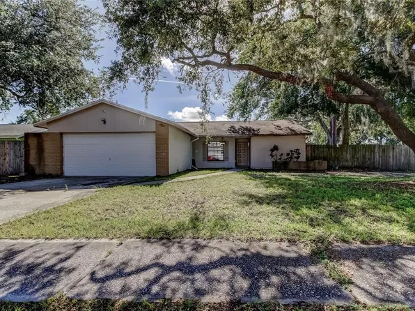 14701 Cactus Wren Pl, Tampa, FL 33625