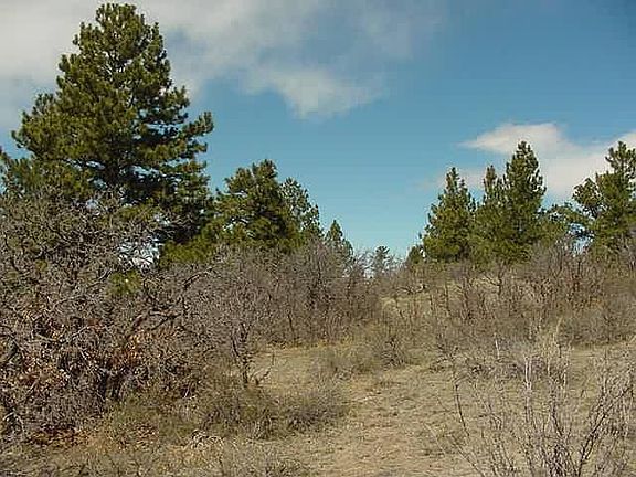 Looking up at the Ridge