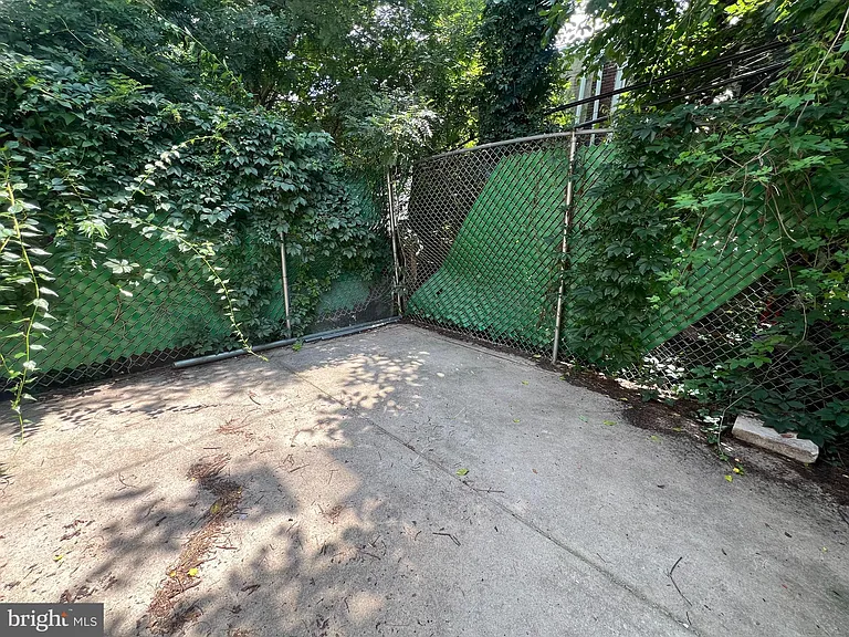 262 W Apsley St #1 — Photo 9