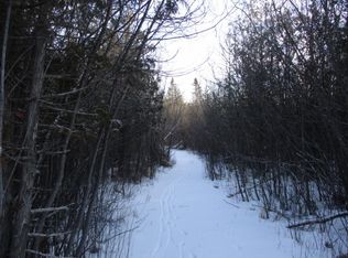 365 W Mount Maria Rd, Spruce, MI 48762